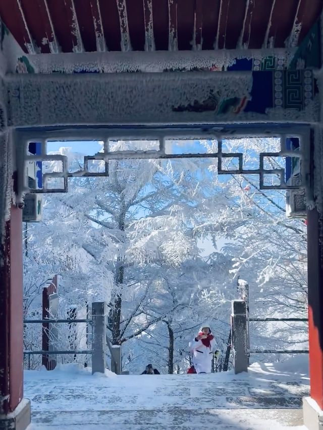巨峰霧凇