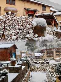 2024年的第一場雪，我在雨印茶坪看的