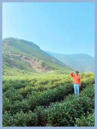 湖州旅行野趣盎然霞幕山上陸羽古道神走茶聖徒步