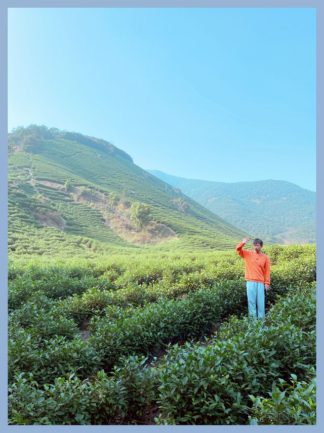 湖州旅行野趣盎然霞幕山上陸羽古道神走茶聖徒步