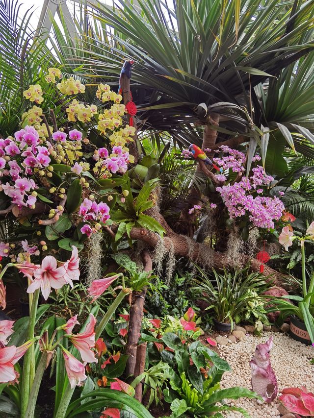 上海冬天也有不冷看花的地方～辰山植物園