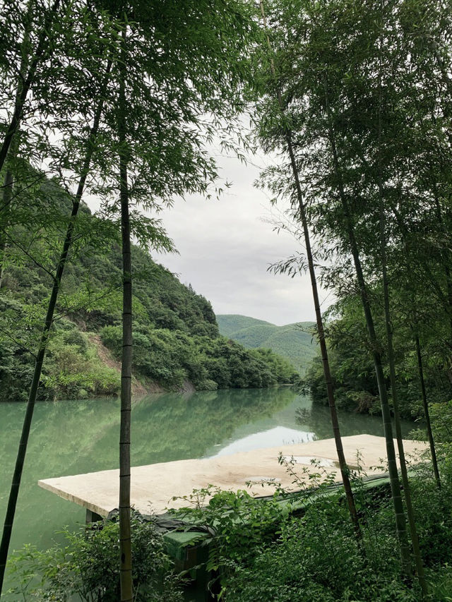 莫干山旅行心得 - 10條金貴建議，避免踩坑！