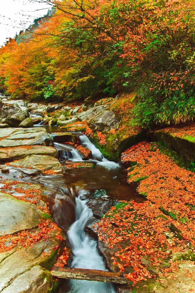 巴蜀光霧山水——有一種脫盡塵埃清澈秀逸的神韻