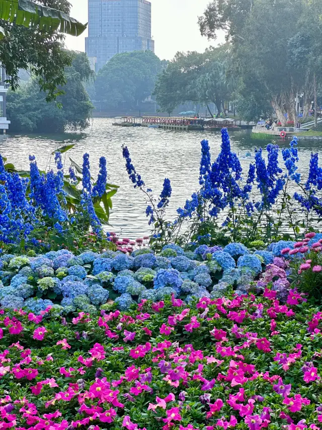 Liwan Lake Park! This must be Monet's backyard!