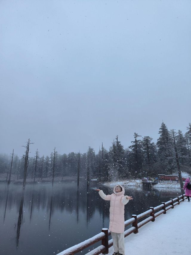 姊妹們！實拍瓦屋山又又又下雪啦