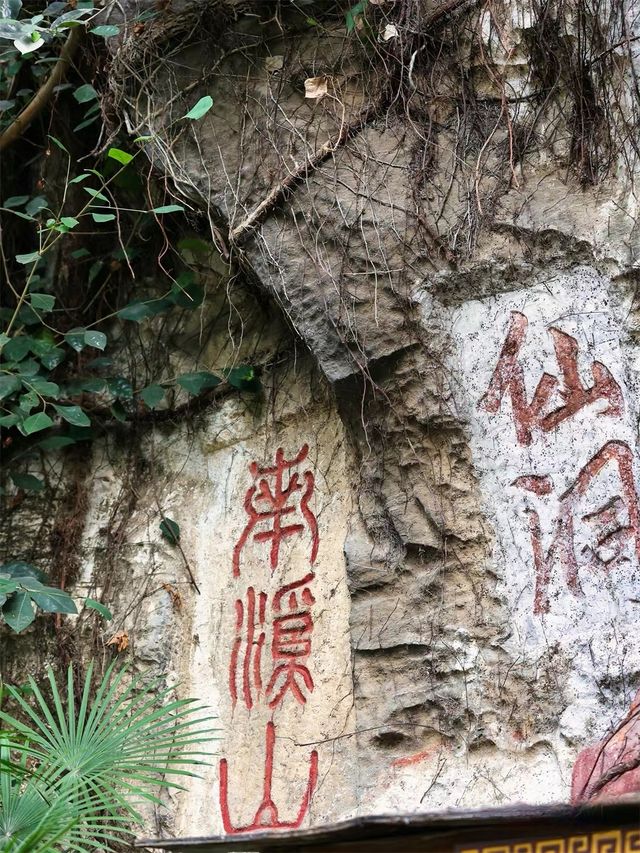 泡泡ooO 南溪山公園（大門）關注桂林|藏在市區裡的百花園香飄