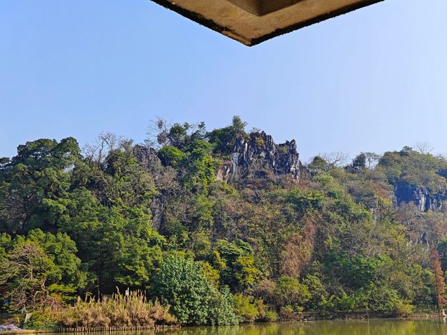 肇慶端州｜星湖濕地公園｜大自然美得不像話