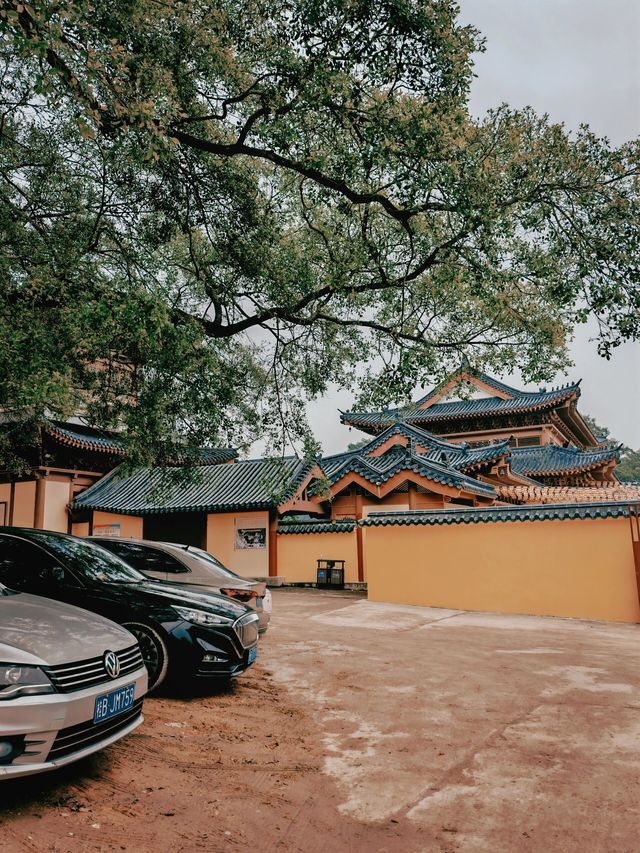 "迎新年好運：探秘柳州鳳山開山寺"