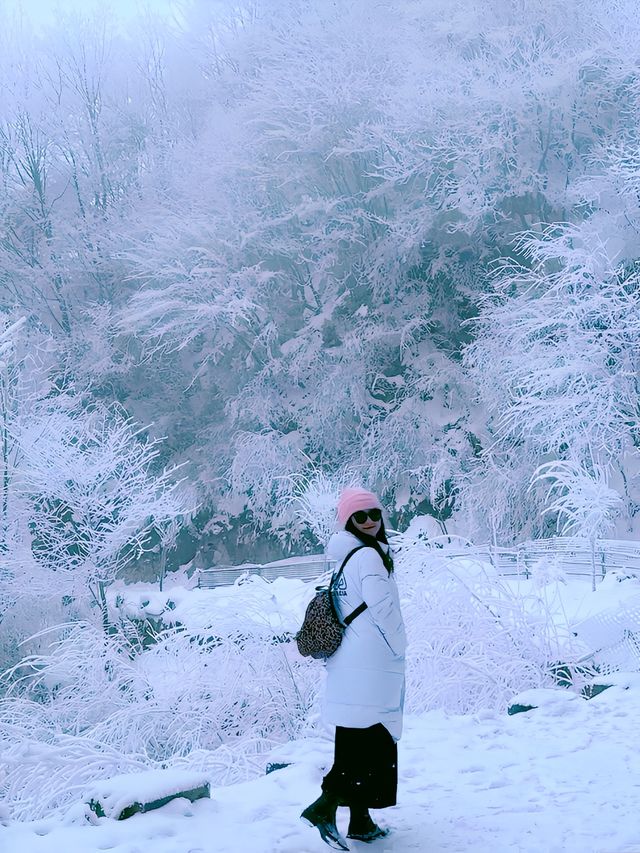 行走在神聖的冰雪時空|秦嶺·小峪草甸