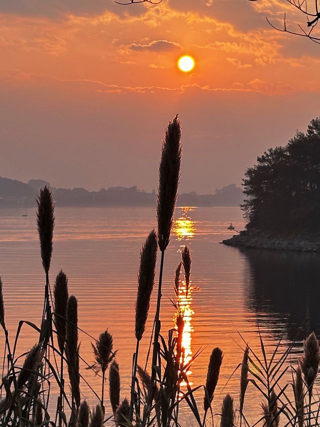 來這裡千萬不要錯過！！千島湖的絕美日落！！
