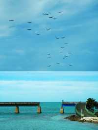 我去了美國的“天涯海角”——西礁島