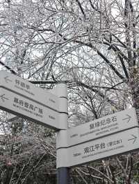 大家都去紫金山而我們來了幕府山