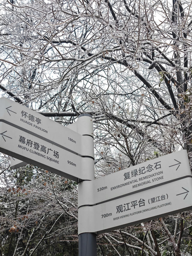 大家都去紫金山而我們來了幕府山