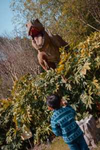 反向旅行,魔都春節也沒有人的寶山親子遊