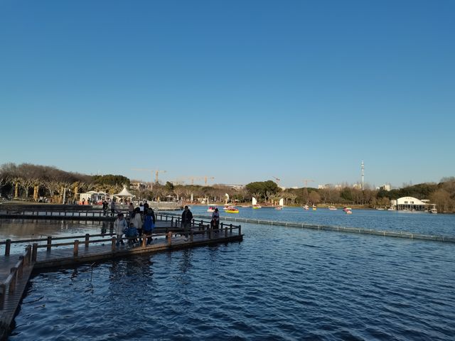 閔行體育公園
