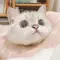 Simmons_Daisy_59