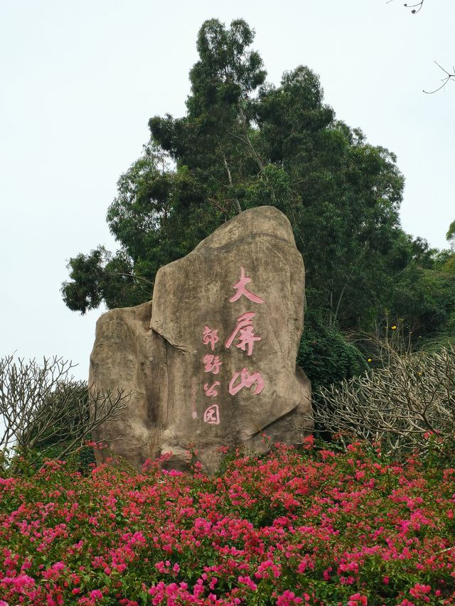 大屏山賞花季