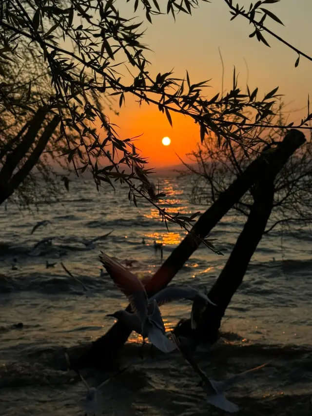 Stunning sunset at Kunming Laoyuhe River!