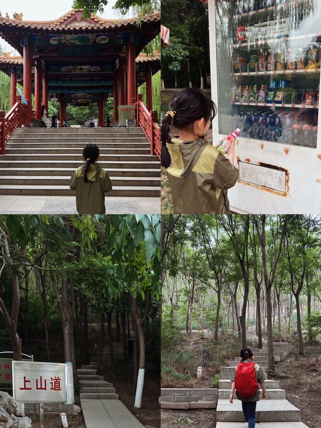 天津踏青｜不出遠門去徒步，爬山遊船餵天鵝的寶藏公園