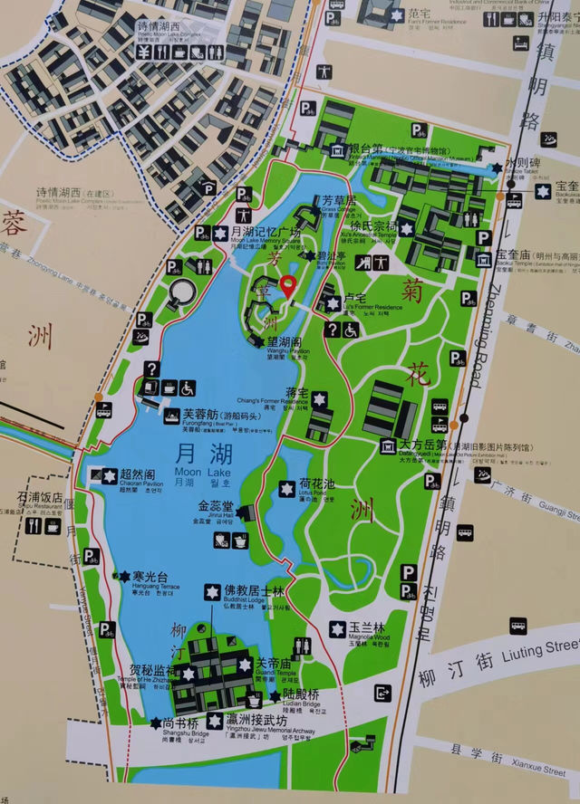 3月，正是月湖公園賞花的好時節！