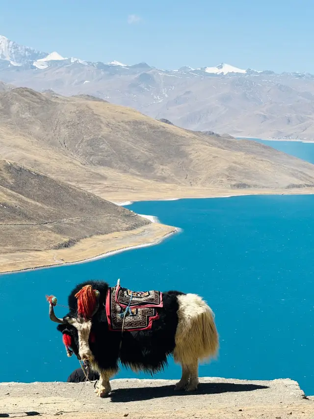 The Enchantment of Blue - The Beauty of Yamdrok Lake