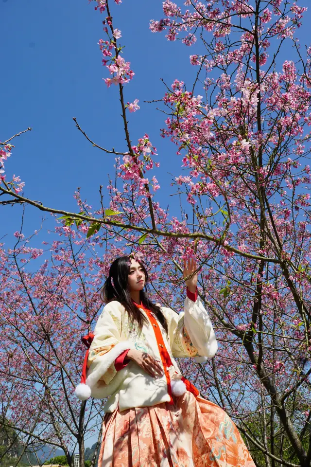 Spring Flower Viewing Spots | Call your sisters and bring your Hanfu for a photo check-in