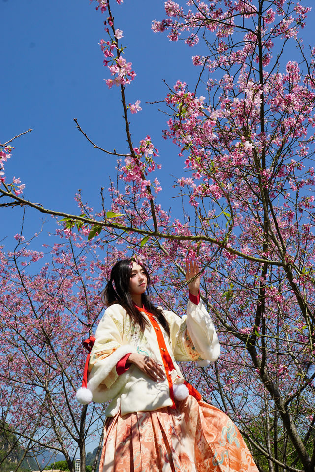 春季賞花好去處｜喊上姐妹帶漢服來打卡吧