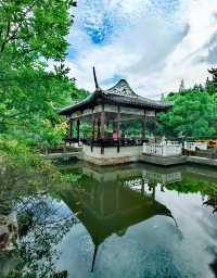 川沙公園|夏末時節,格外美麗