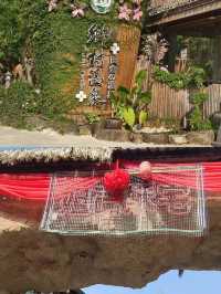 觀瀾山水田園，釣魚溫泉遊玩一站式服務
