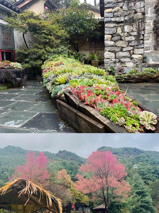 大理旅行第三天，我們又有了新的體驗～