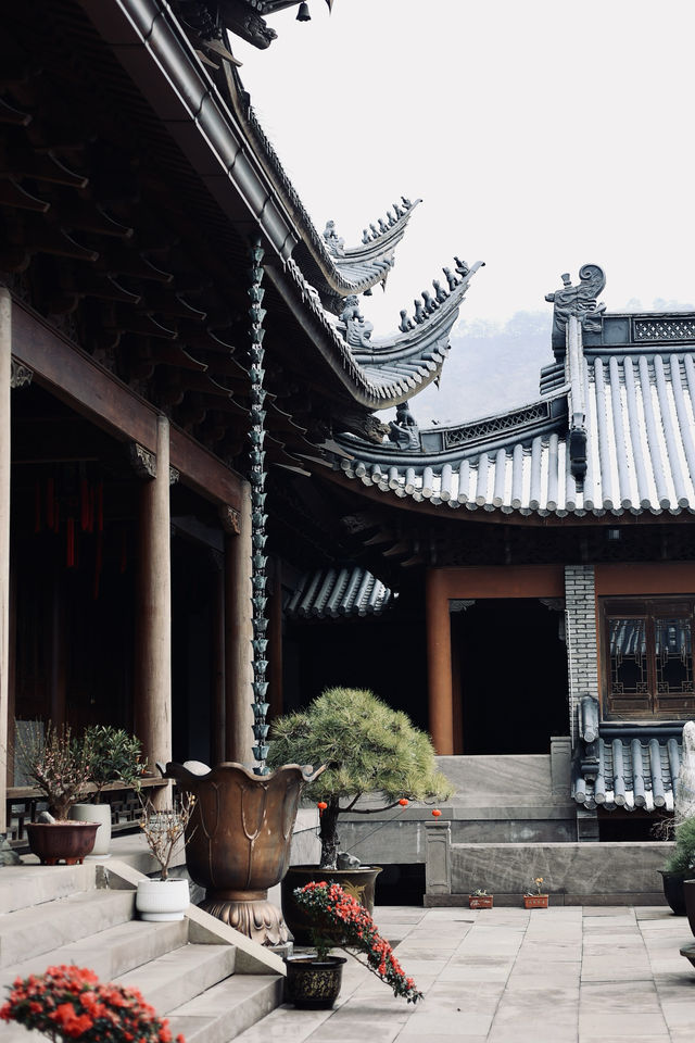 人間彌勒,寧波雪竇寺 人間彌勒,寧波雪竇寺