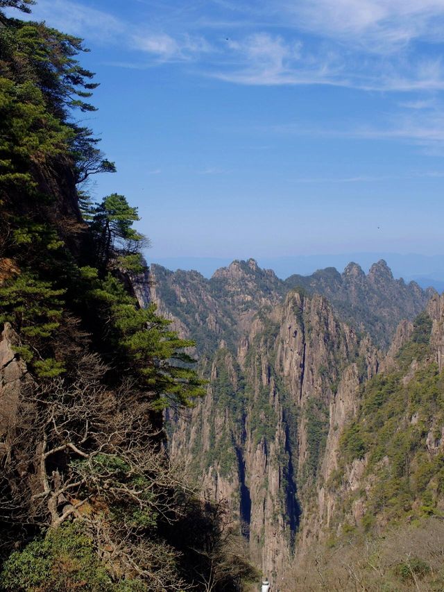 登黃山則天下無山