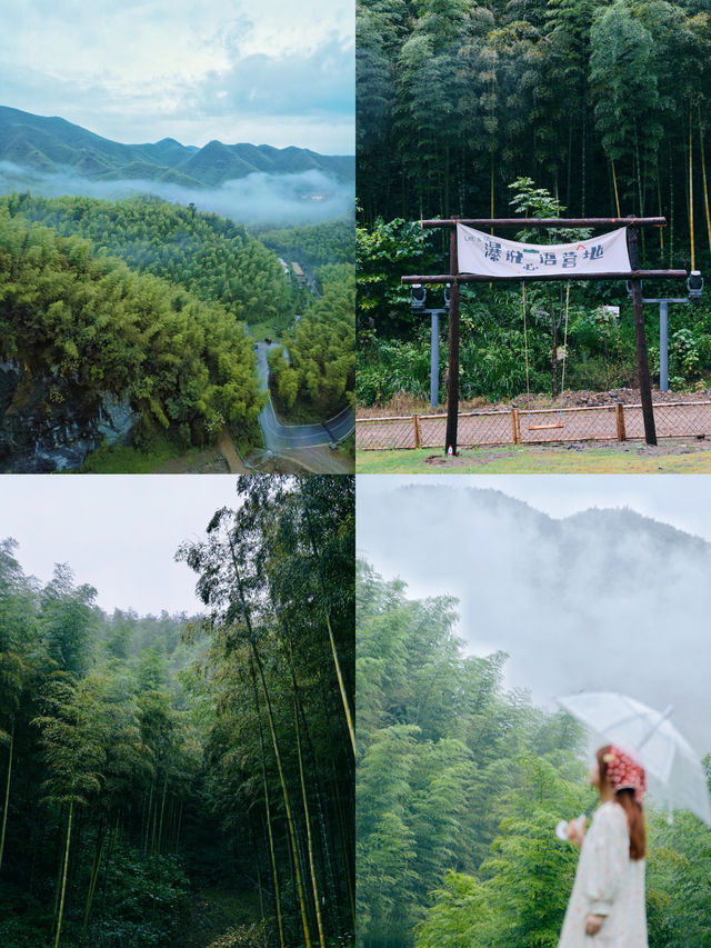 杭州1h森系露營地在竹林秘境看雲霧繚繞