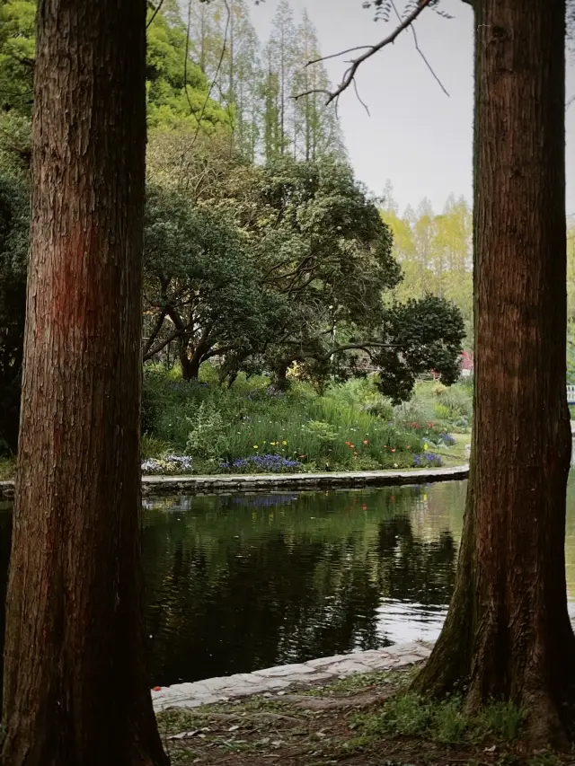 สถานที่ที่ดีที่สุดในสวนสาธารณะเซี่ยงไฮ้ | สวนป่ากงชิง