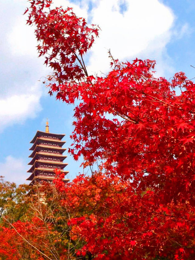 秋天是屬於南京的！牛首山秋景美得封神