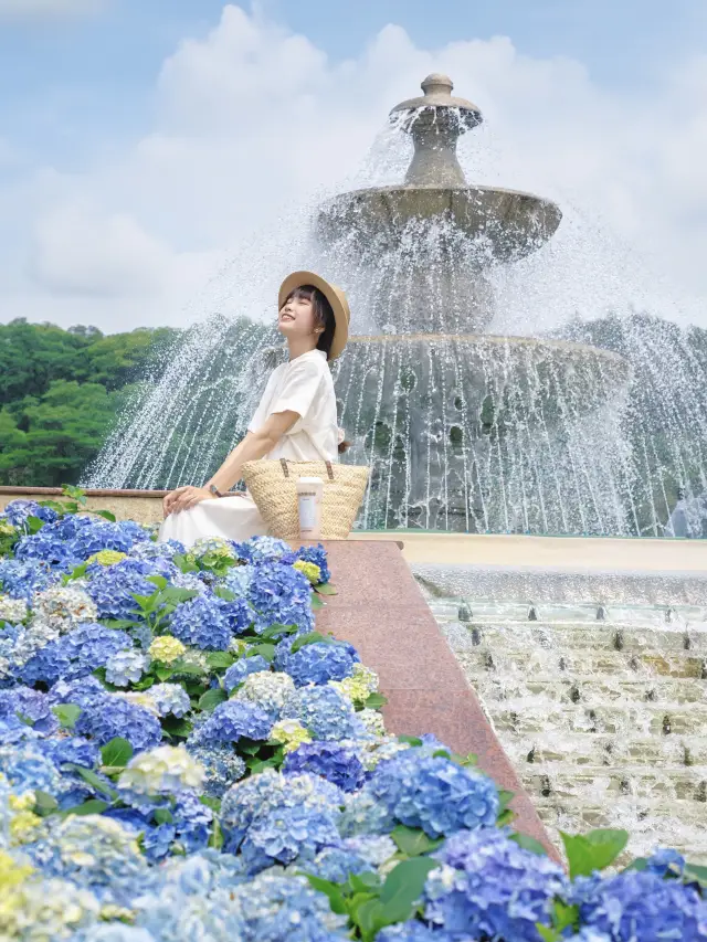 Worthy of being called the Guangzhou Monet Garden! The park filled with hydrangeas is so beautiful