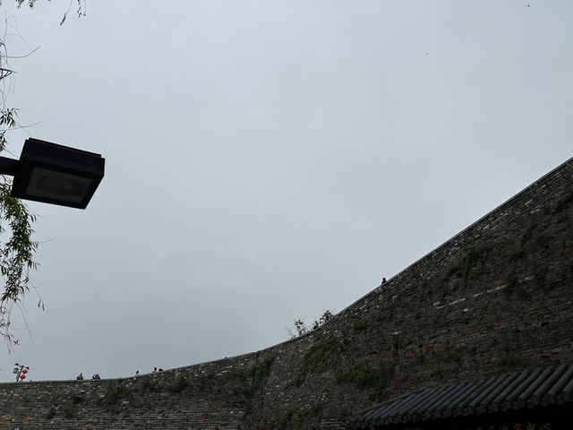 陽春三月下江南，南京城牆，玄武湖，雞鳴寺