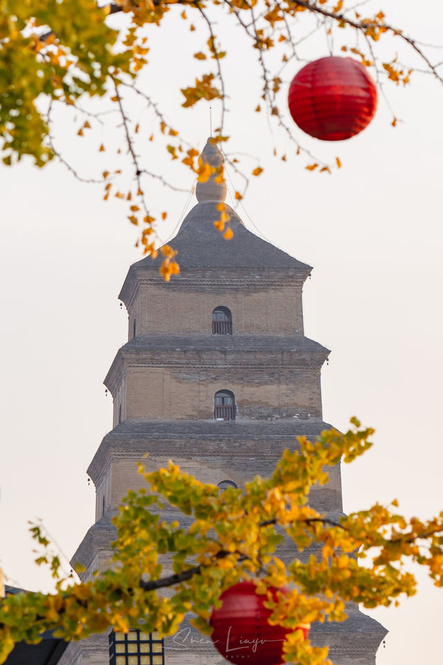 Strolling through history, experiencing the charm of Tang Dynasty architecture in Xi'an | Big Wild Goose Pagoda