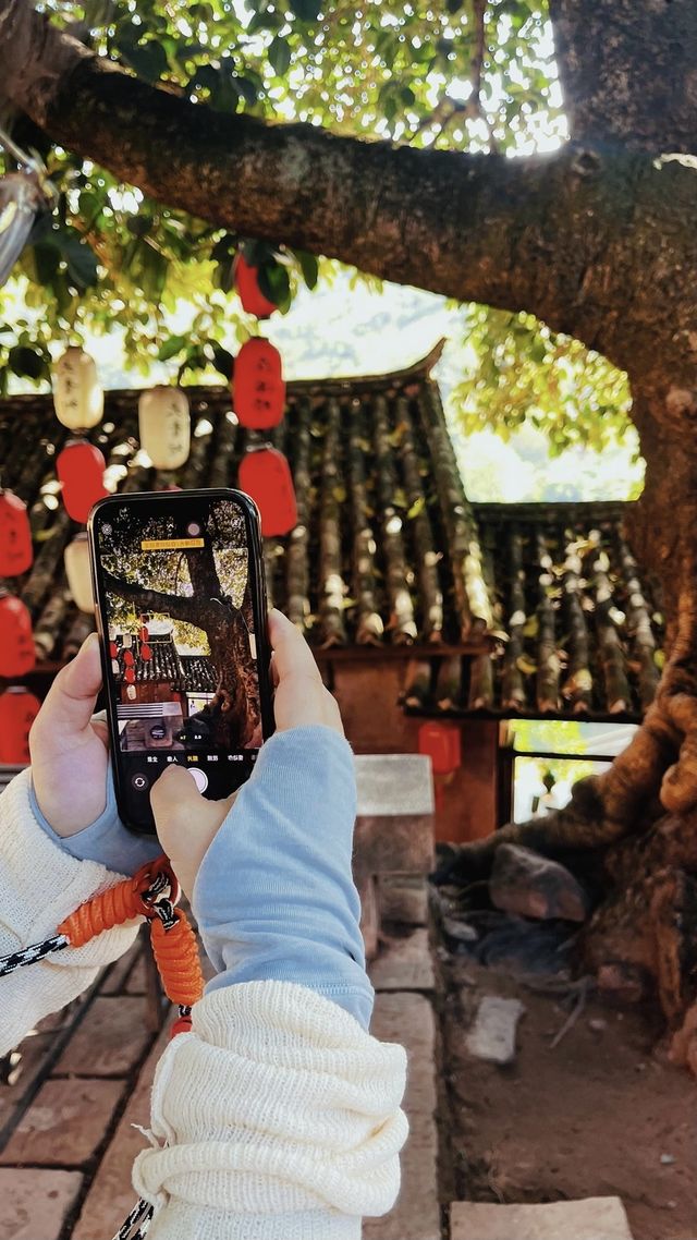 我的寶藏旅行目的地，諾邓古村