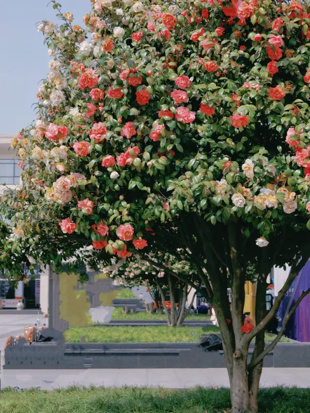 Isfahan Train Station