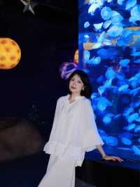 重慶五一去哪兒快來海洋公園圓藍色之夢