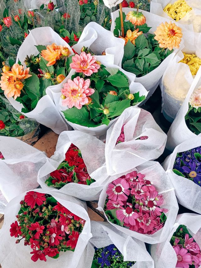 春日鮮花開滿街 | in旺角花墟