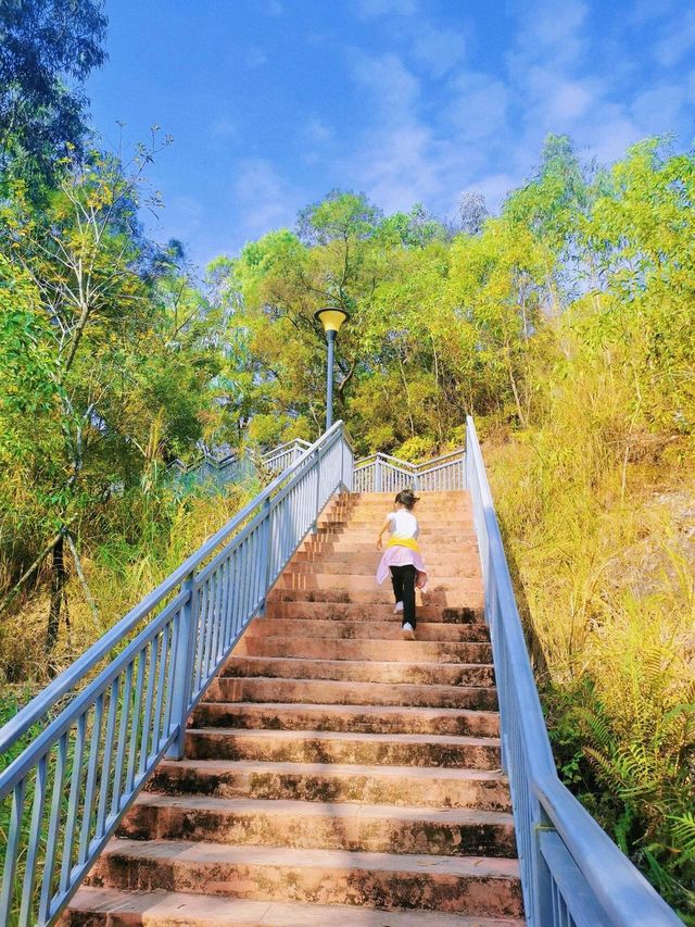 攀登天梯，眺望鐵崗水庫