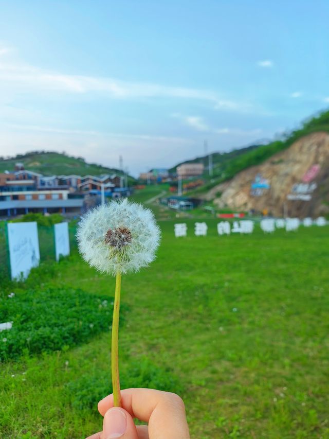 城市小逃離~魔都周邊遊玩好去處