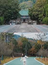 龍泉山裡一個人都可去的登山步道