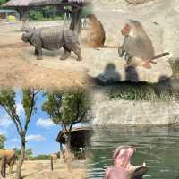 上海野生動物園超實用攻略