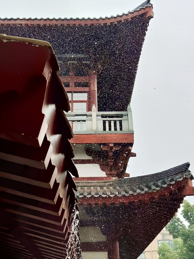 來岳陽，這些吃喝玩樂，看看可以嗎？湖南岳陽1