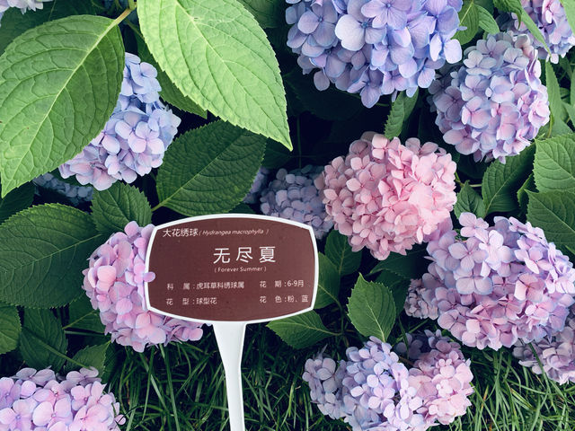 無錫 | 4天3晚必打卡行程