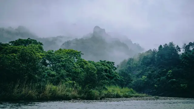 Life advice, be sure to visit Wuyi Mountain on a rainy day