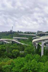 龍泉山城市森林公園徒步攻略